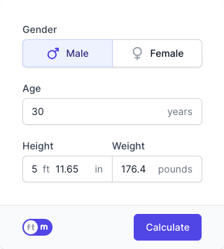 BMI Calculator Input Form