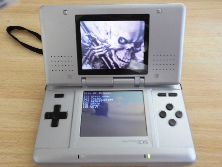 Nintendo DS version
