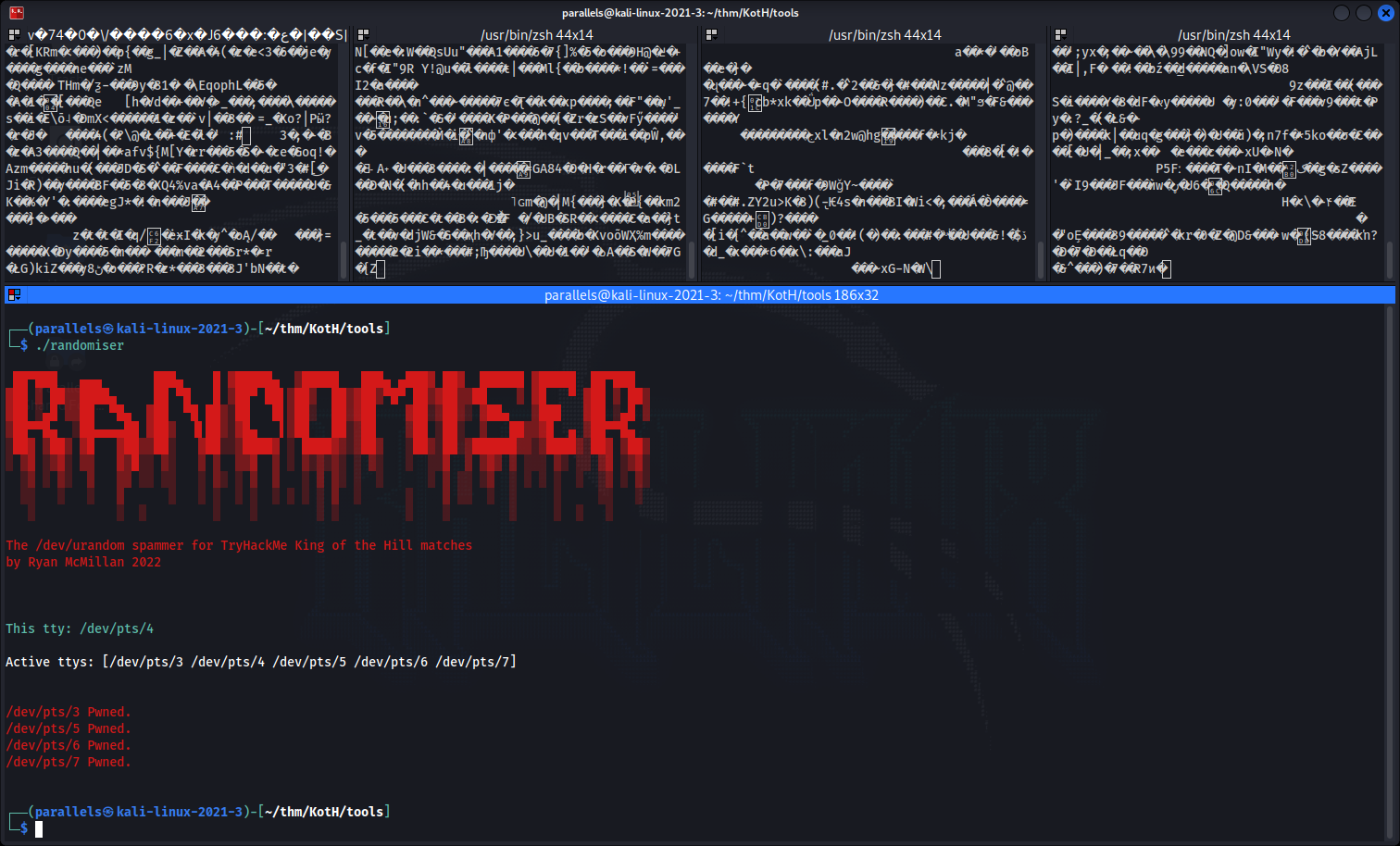 Randomiser Script Screen Shot