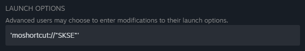 steam launch options