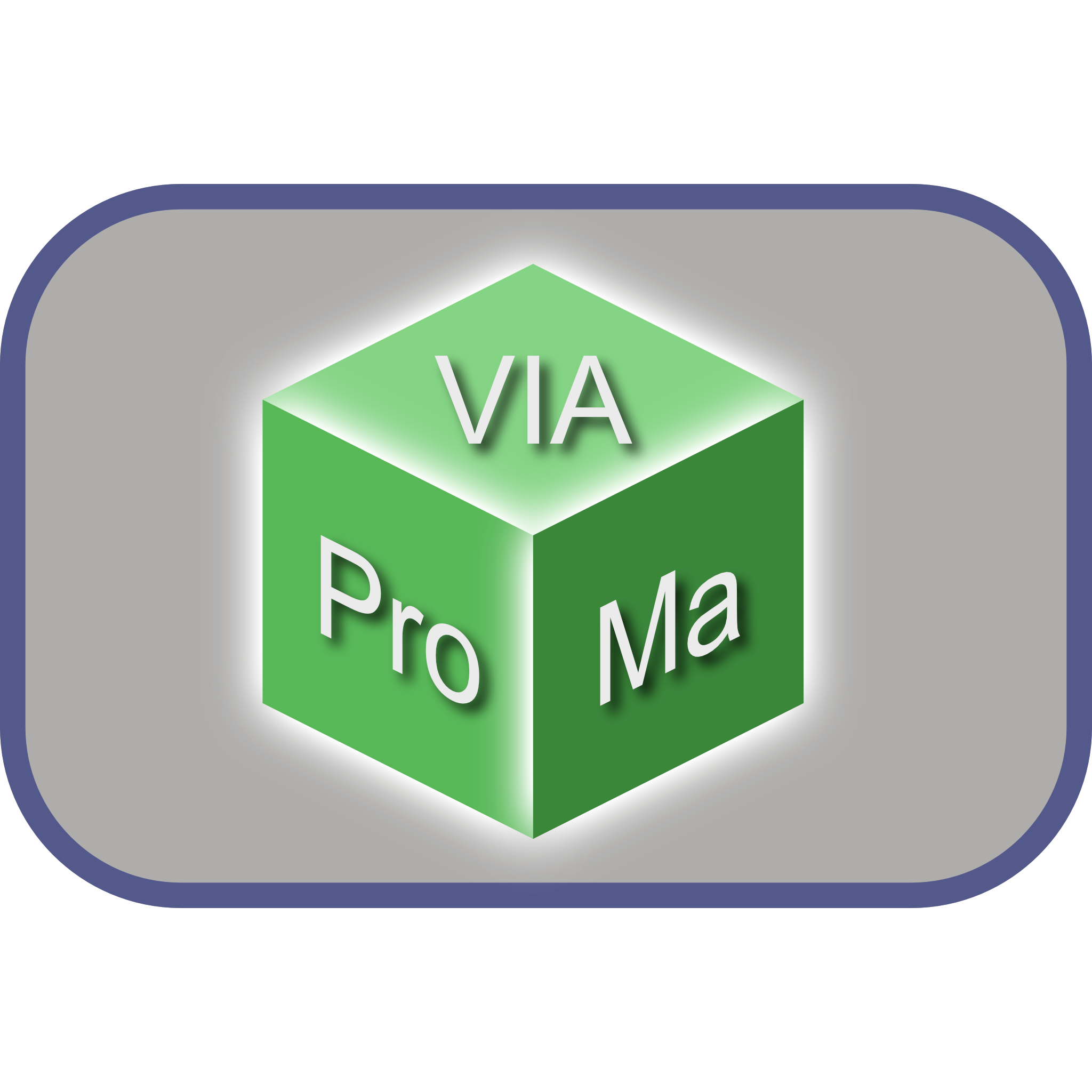 VIAProMa Logo