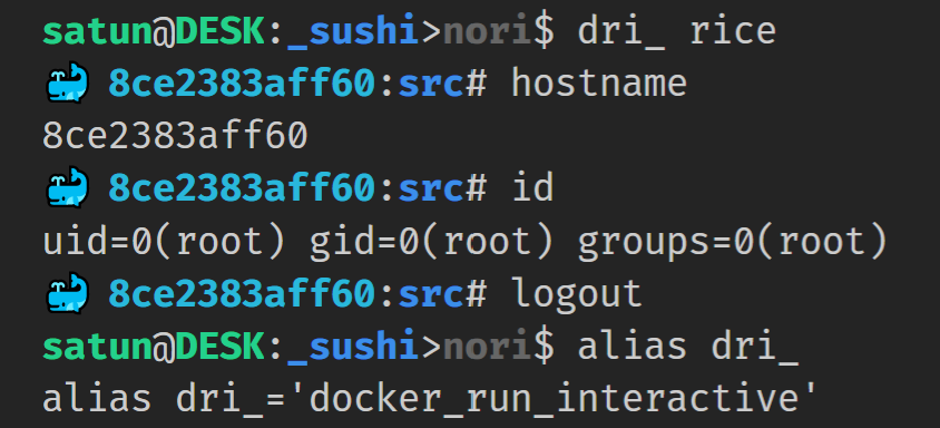bash_prompt_in_docker_container