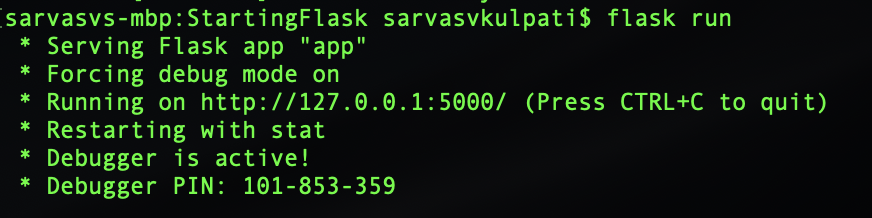 flask run output
