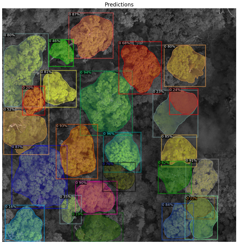 Tree crown delineation in a sample drone RGB image