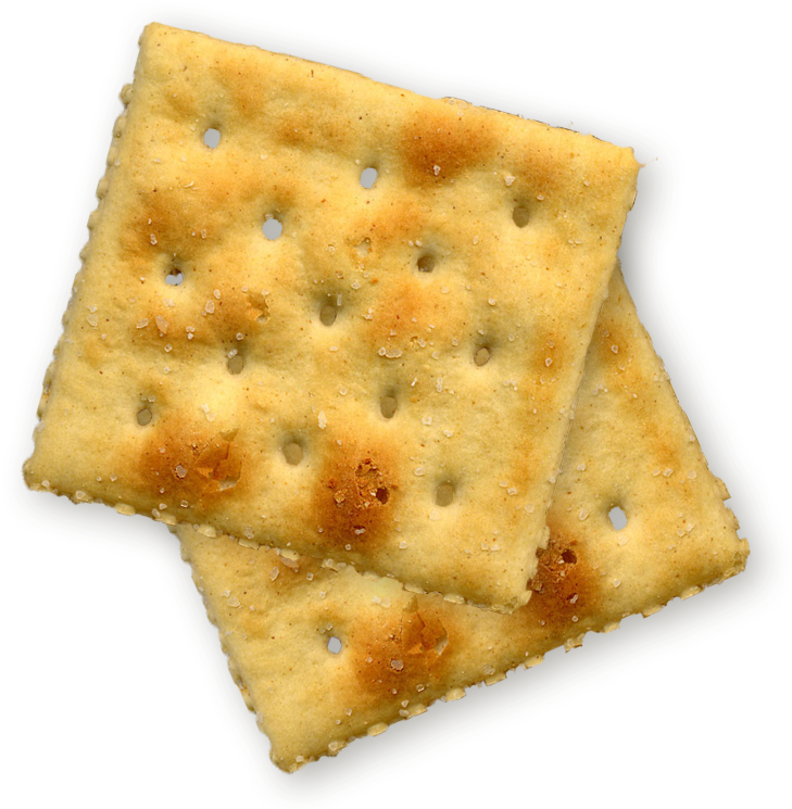 Saltine cracker image failed to load