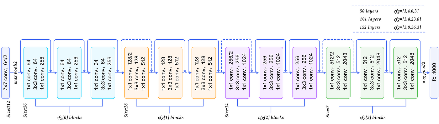 resnet50