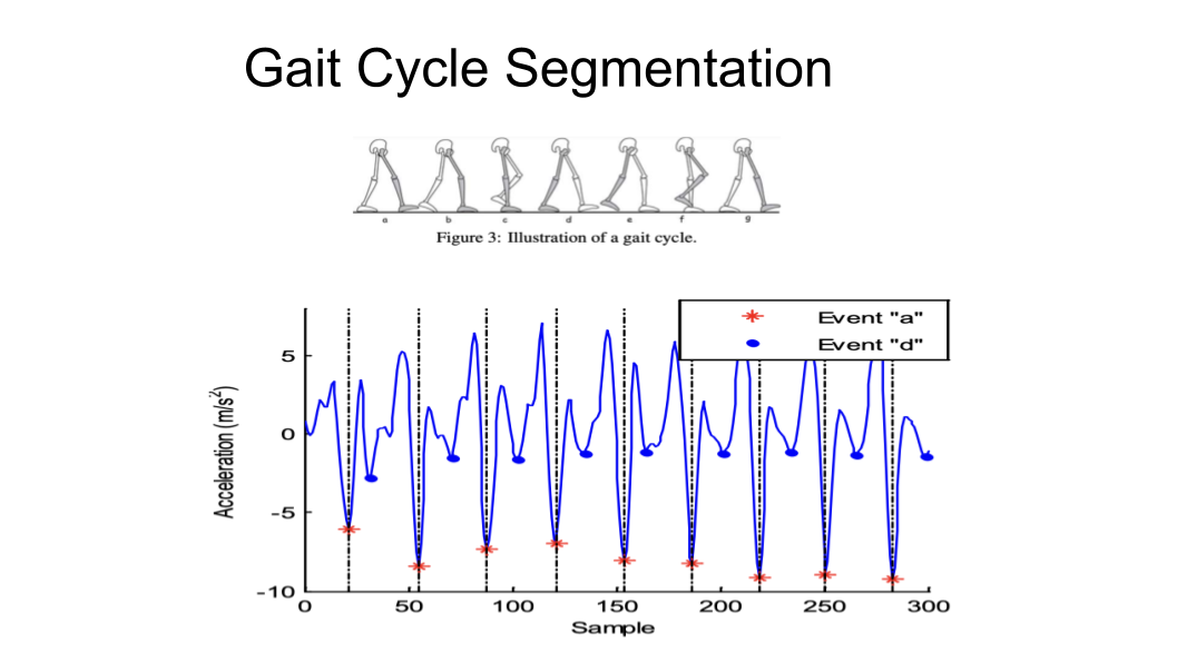 Gait Cycle Segmentation