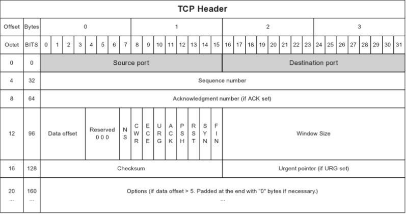 TCP Header
