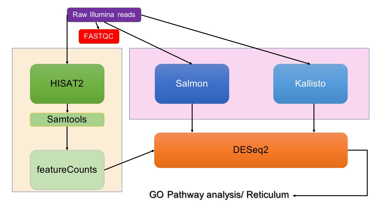 Overview of pipelines used in this project