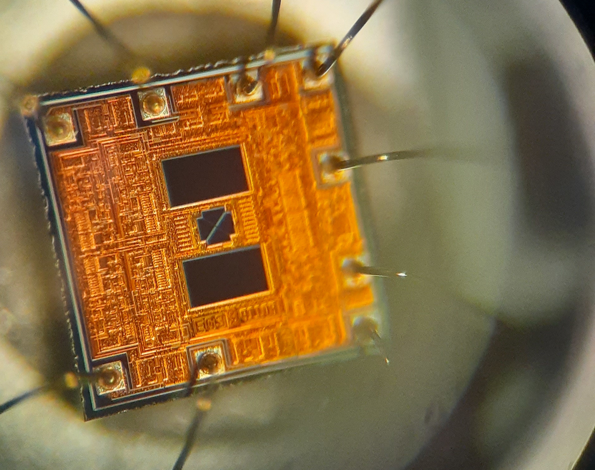 Compound photodiode die under the microscope