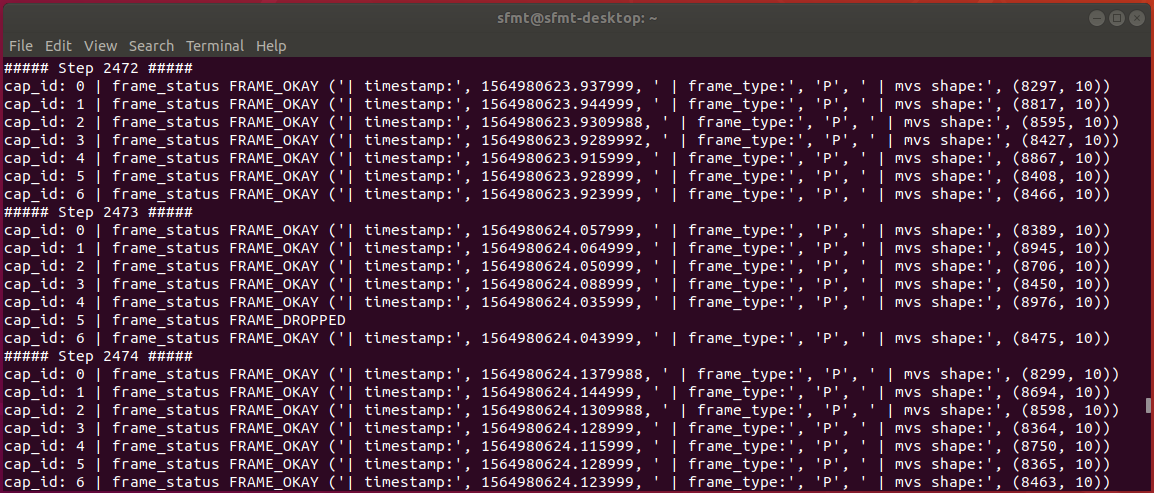 example_output_terminal