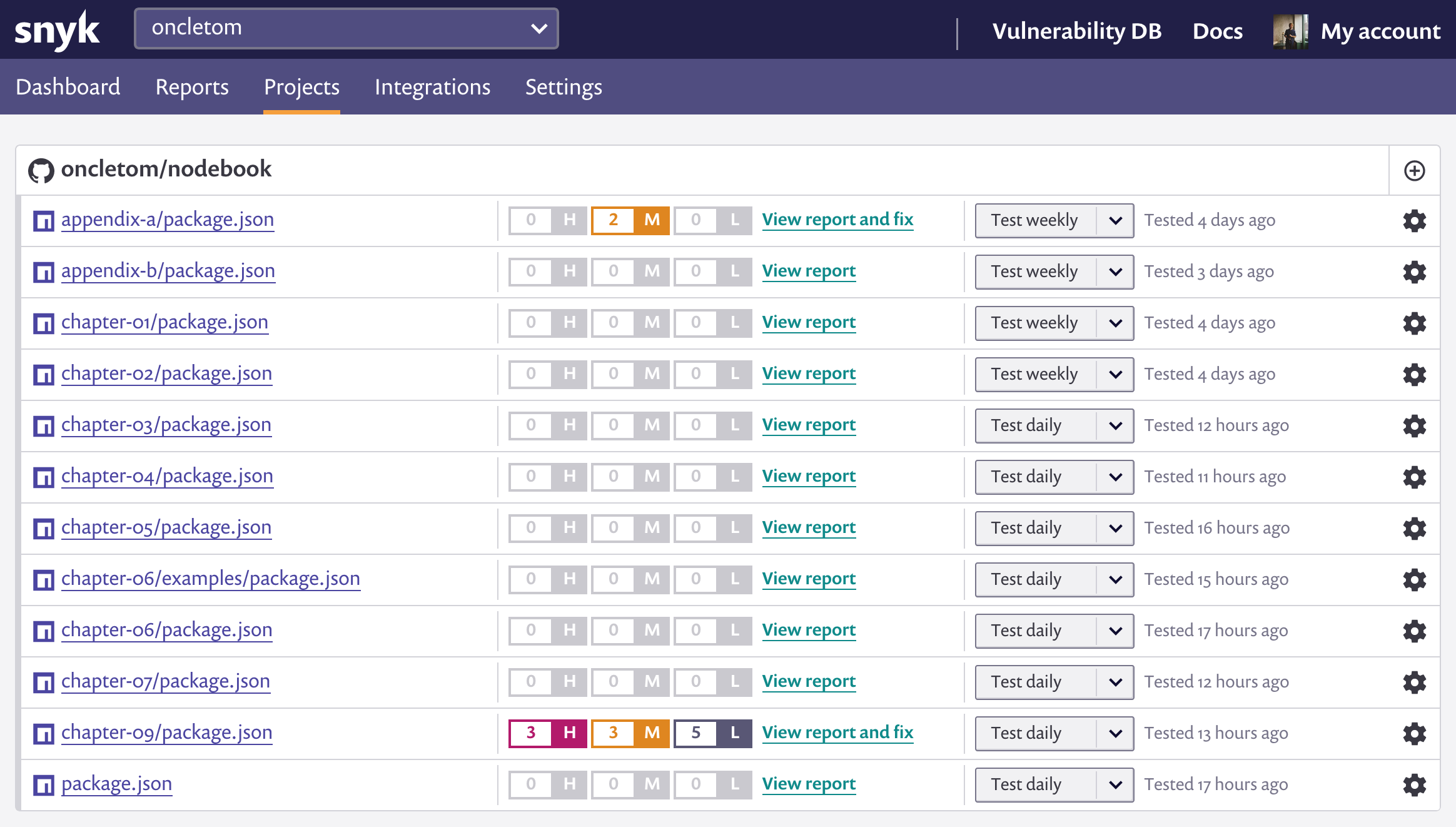 snyk dashboard