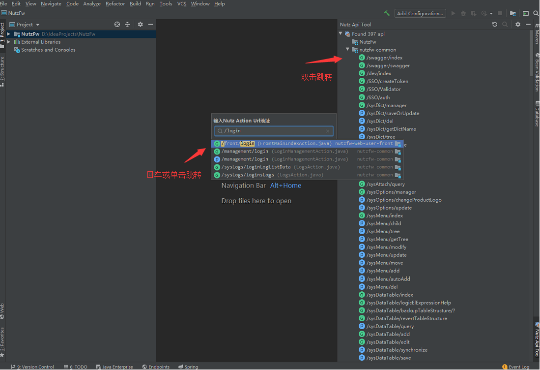 NutzCodeInsight