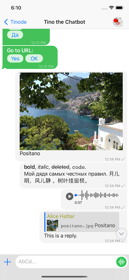 App screenshot - conversation