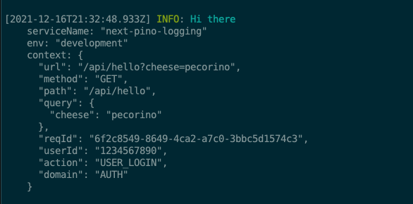 API logging with pino-pretty