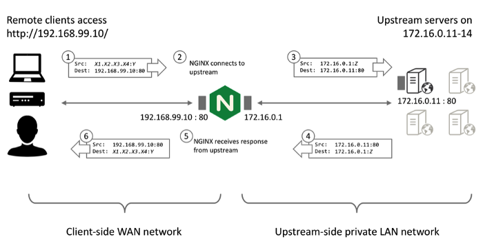 reverse-proxy_preview