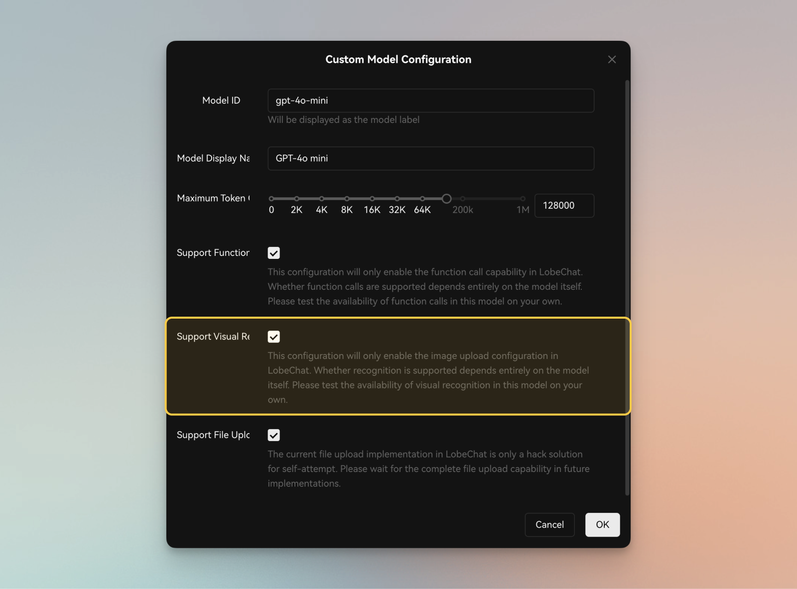 Custom Model Configuration