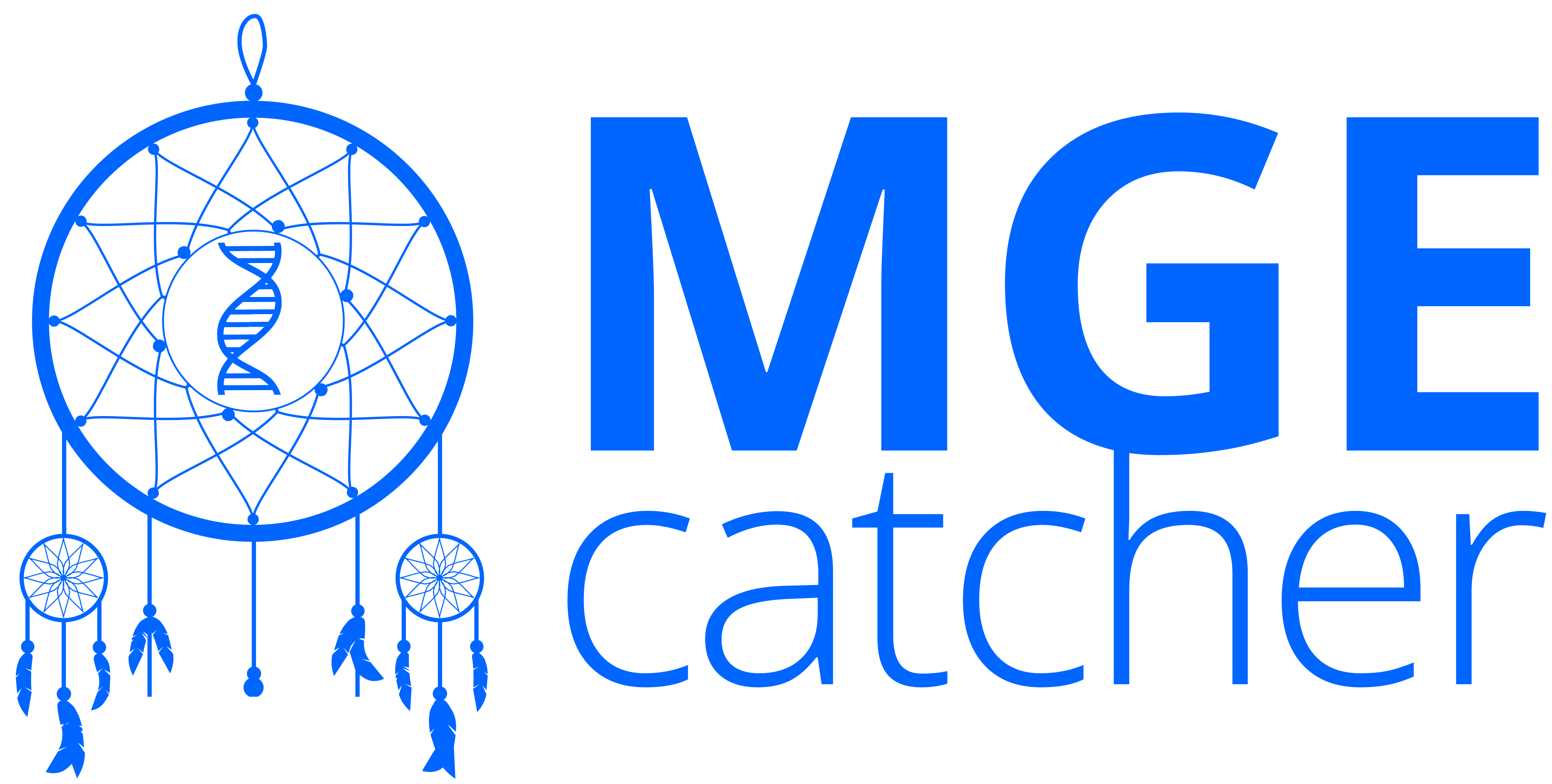 MGEcatcher