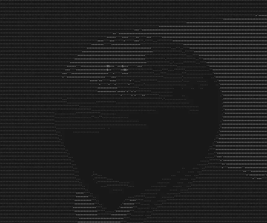 asciicam picture of me holding a basketball