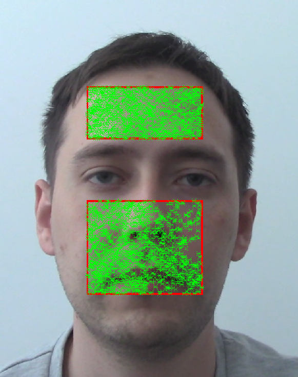 Face Detection & Feature Tracking