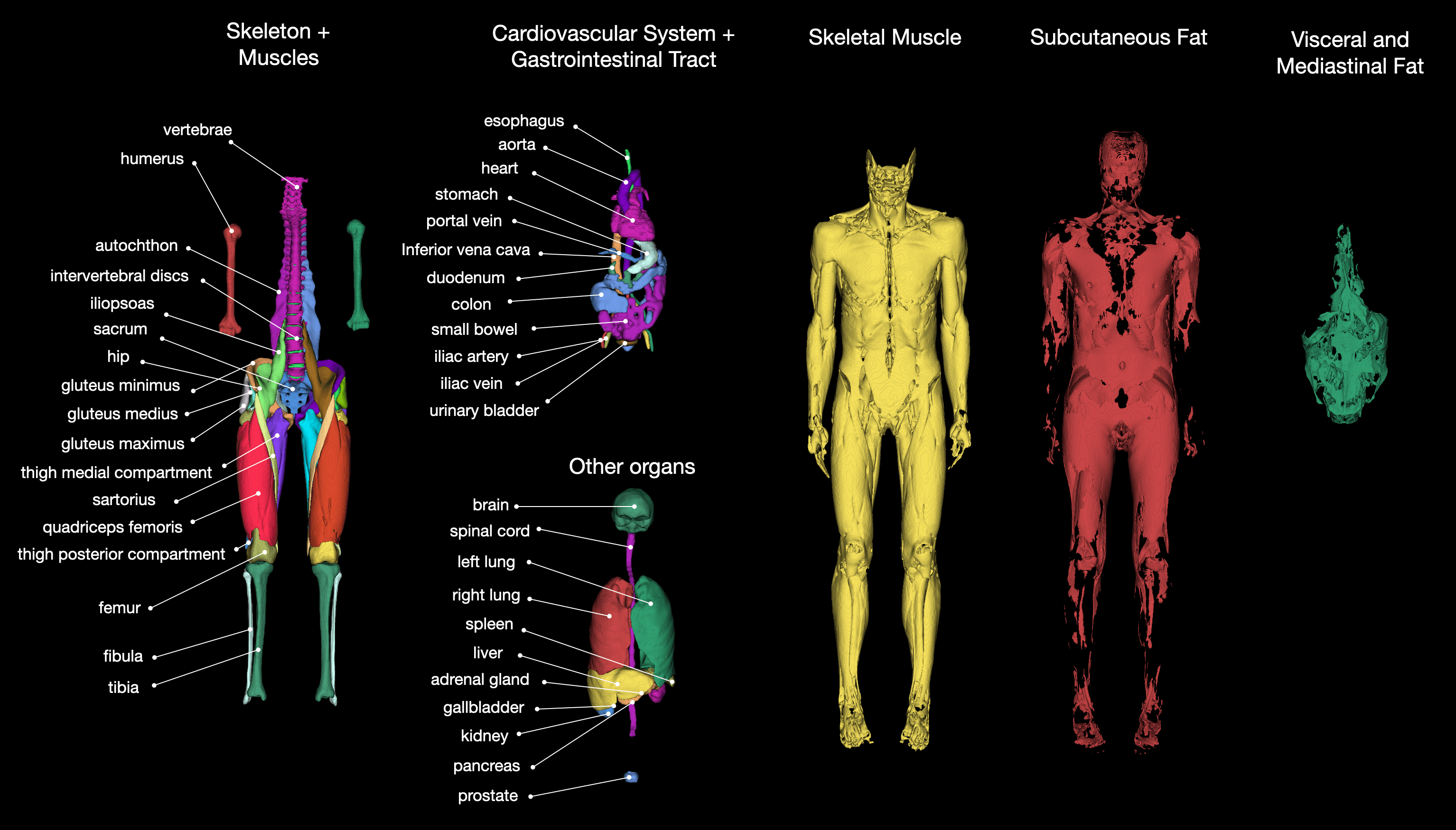 overview_classes_mr.png