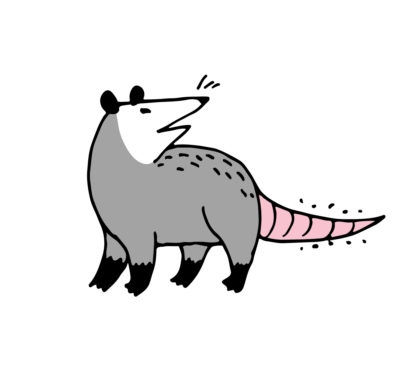 opossum_looking.png