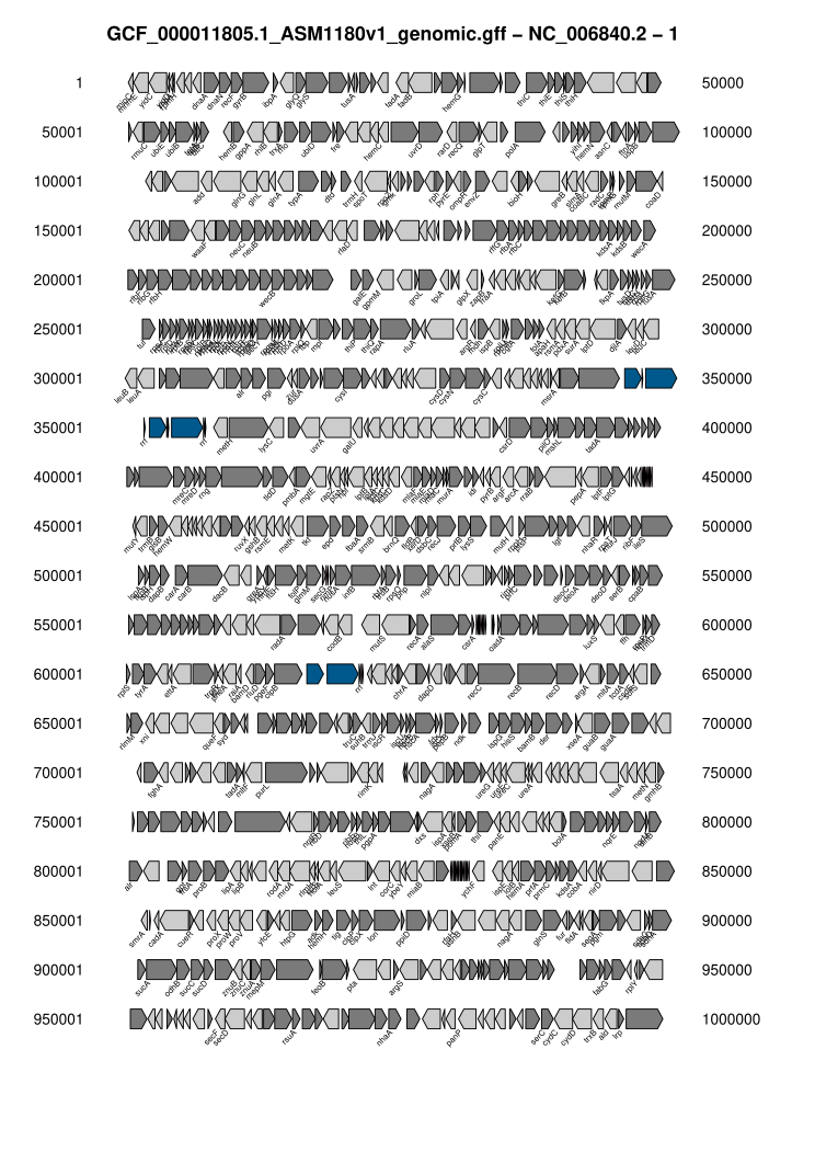 page 1 of Aliivibrio fisheri genome map