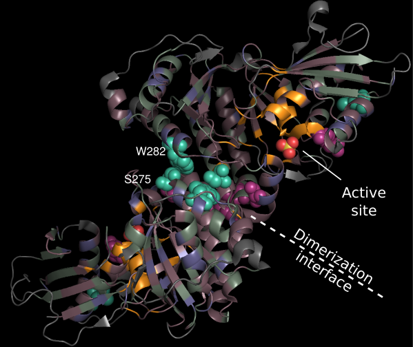 3d4j_w_lnl_w_labels.png