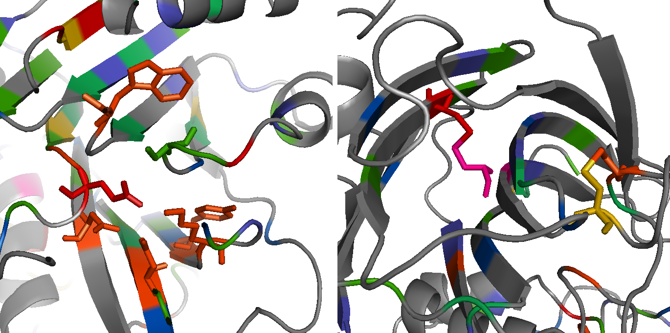 symplectin_domains_by_conservation.png