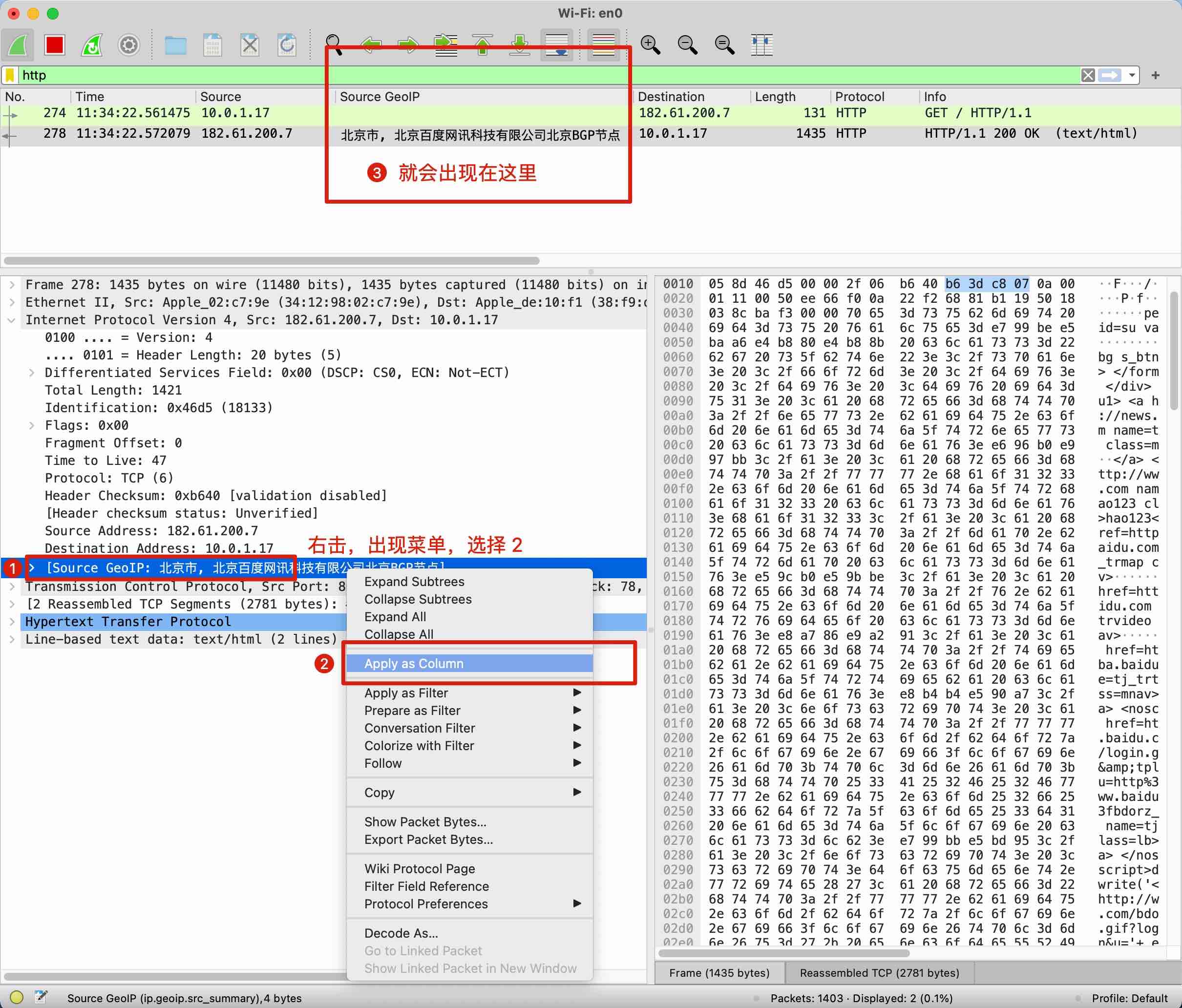 WireShark apply GeoIP As column