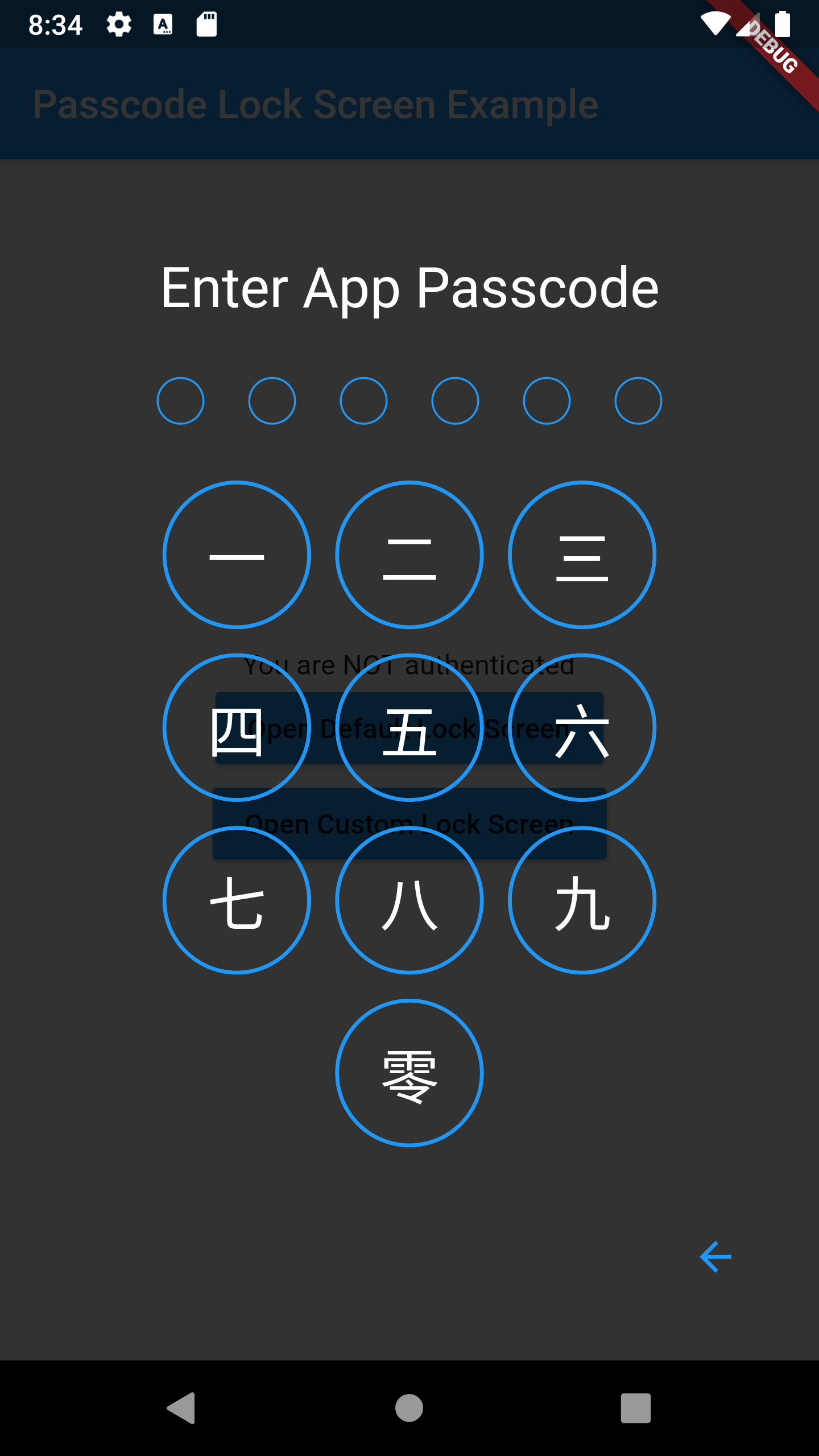 passcode-screen-custom.png