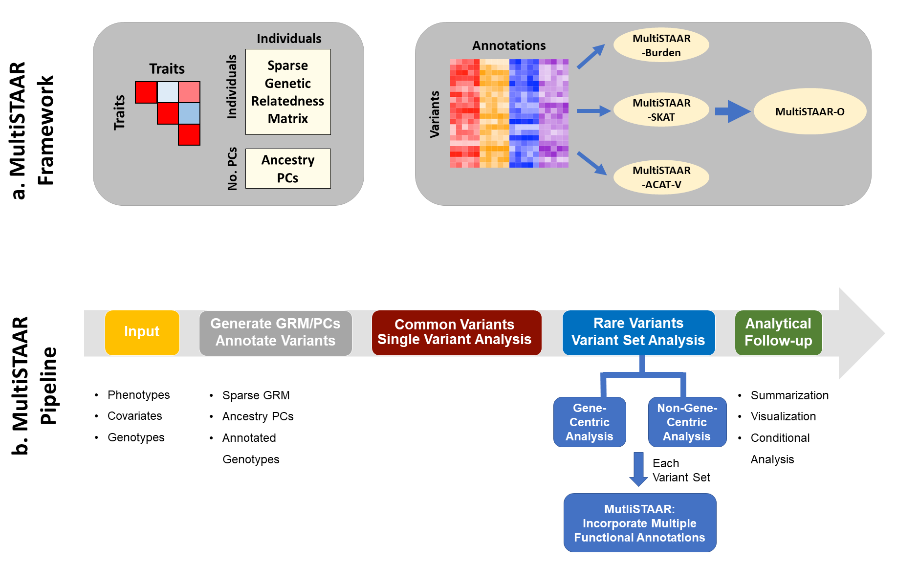 MultiSTAAR_workflow