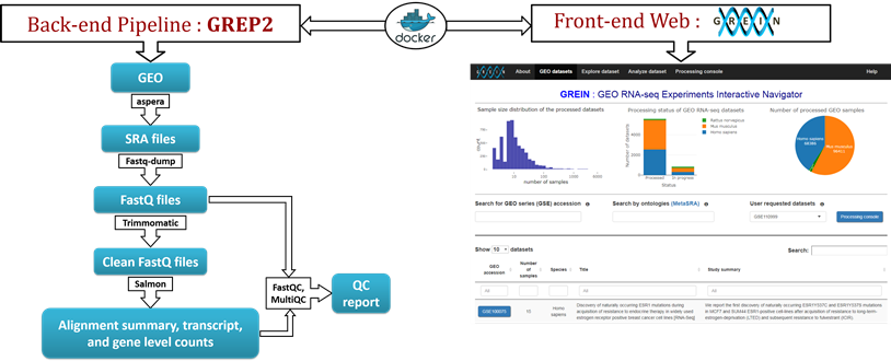 GEO RNA-seq pipeline workflow