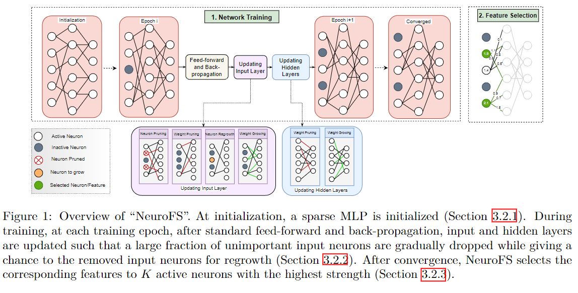 algorithm