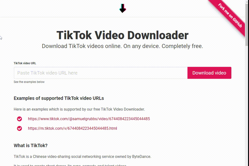 TikTok Downloader showcase