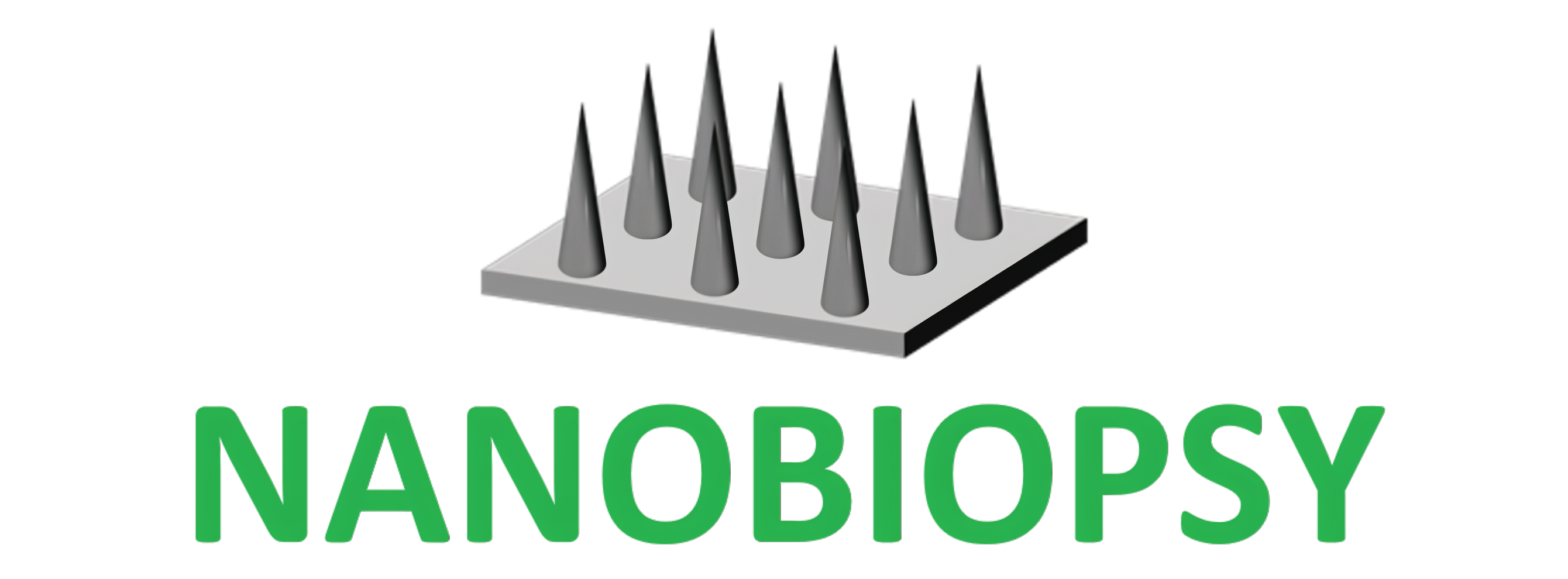 NANOBIOPSY logo