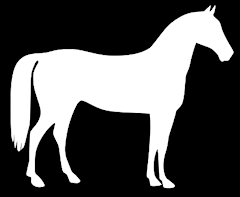 horse_r.png