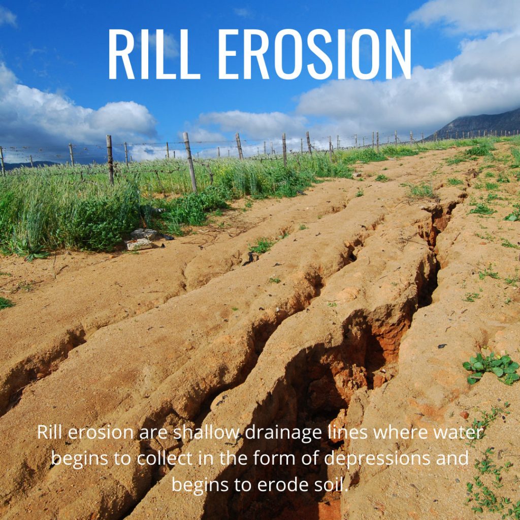 Different Words For Soil Erosion