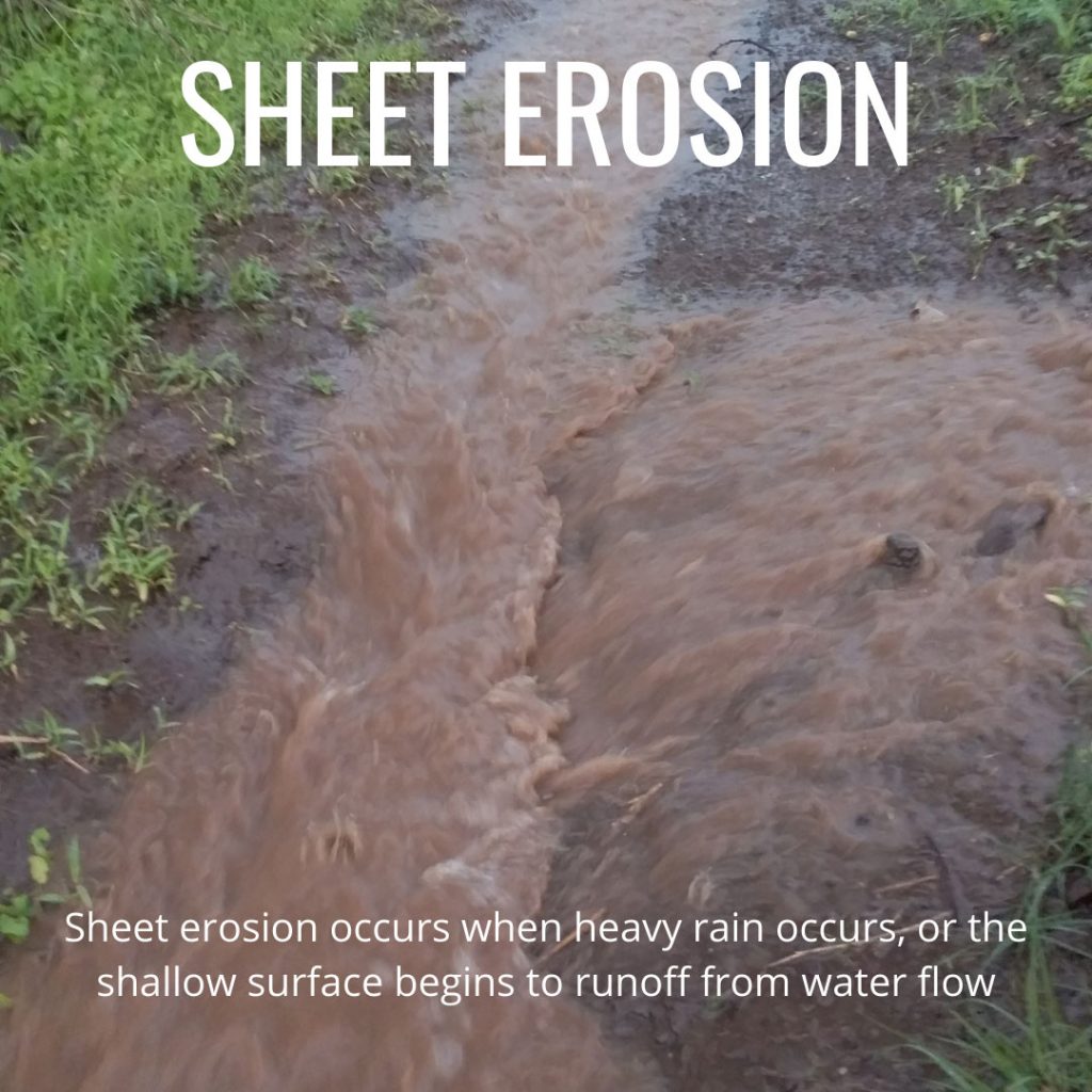 Different Words For Soil Erosion