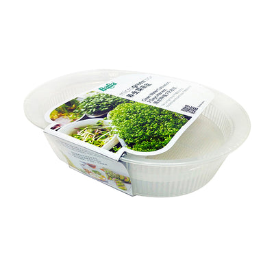 Clear Microgreen Box, ,Baba - greenleif.sg