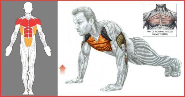 The Pushups Home Workout Routine & Proper Push-Up Form - GymGuider.com