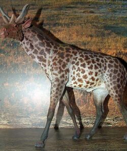 A deer-like animal wanders through a clearing.