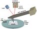 Typical atomic force microscopy set-up