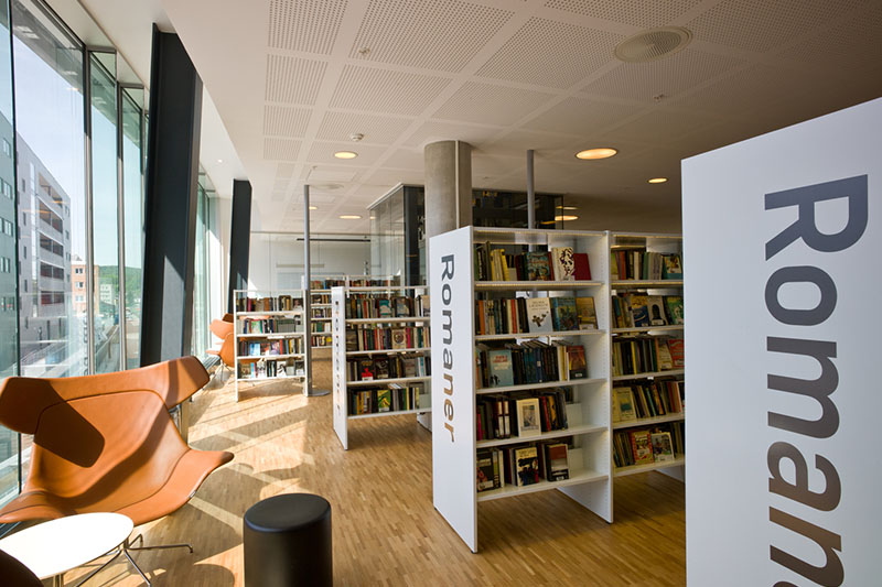 Modern Library Interiors photo - 4