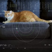 A video of an orange cat with NASA data overlaid.