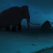 An illustration of woolly mammoths crossing the Arctic tundra.