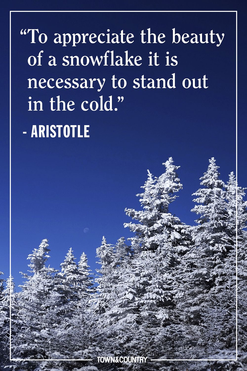 quotes about winter