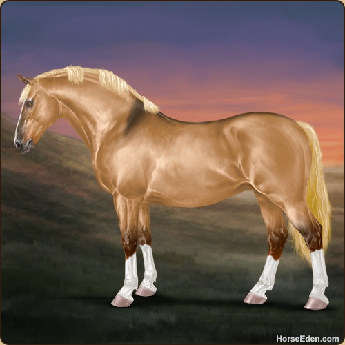 Horse Eden - Online Horse Game