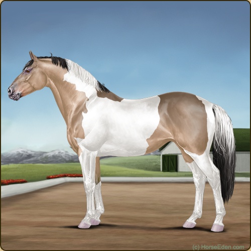 Horse Eden - Online Horse Game