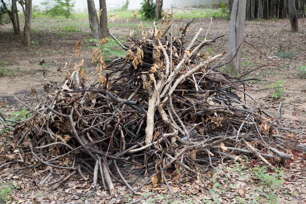 a brush pile in an open space